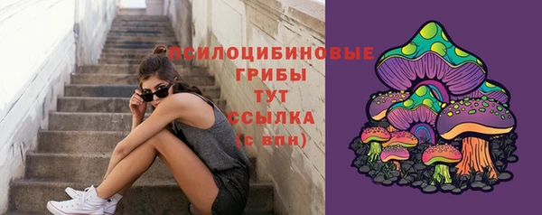 apvp Навашино