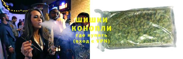 дживик Надым