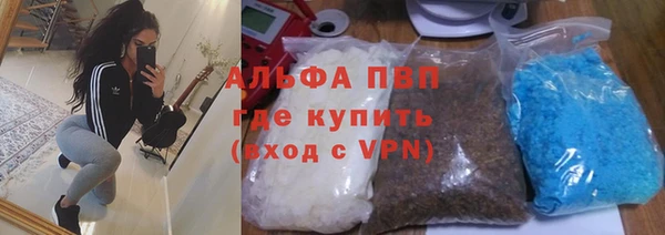 дживик Надым